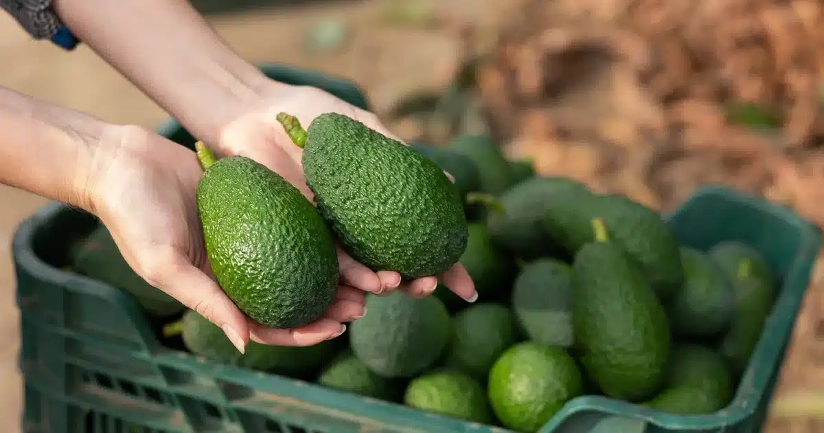 Le test en 3 étapes pour choisir un bon avocat au magasin