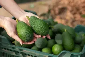 Le test en 3 étapes pour choisir un bon avocat au magasin